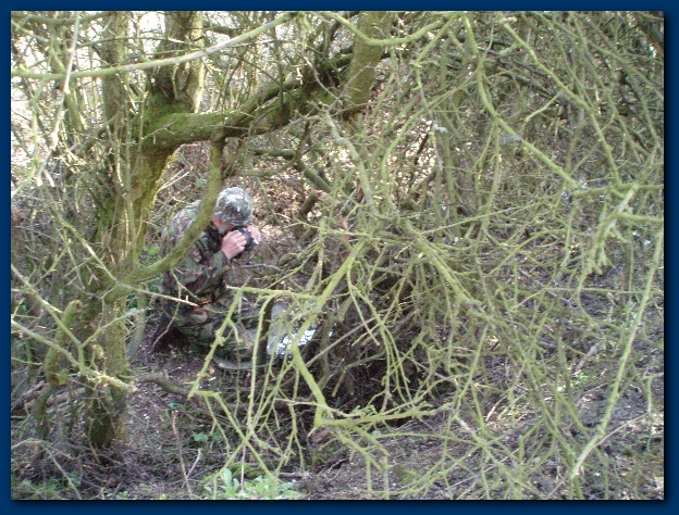 600x449 pixels (203K)